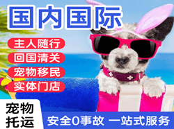 南昌昌北国际宠物托运 【国